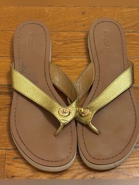 Coach Shelly Gold Metallic Leather Thong Flip Flop Sandals Size 6.5